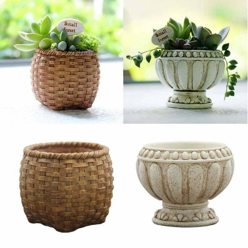 Chọn cây để bàn làm việc 
